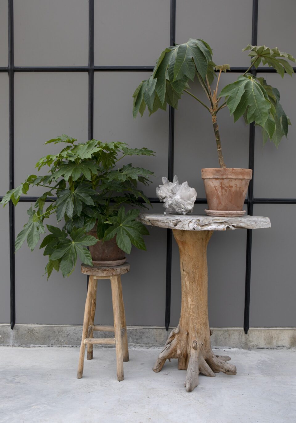 Atelier Jongerius opens its doors in 2022 HOOG.design Exclusive