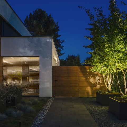Designtuin met koivijver
