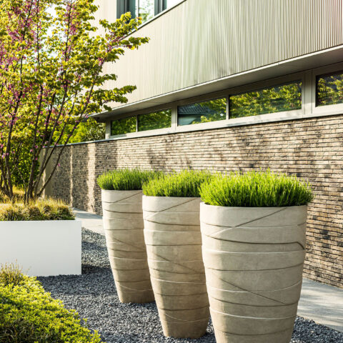 Moderne tuin met Starline zwembad