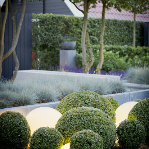 Hedendaagse tuin met afwisseling