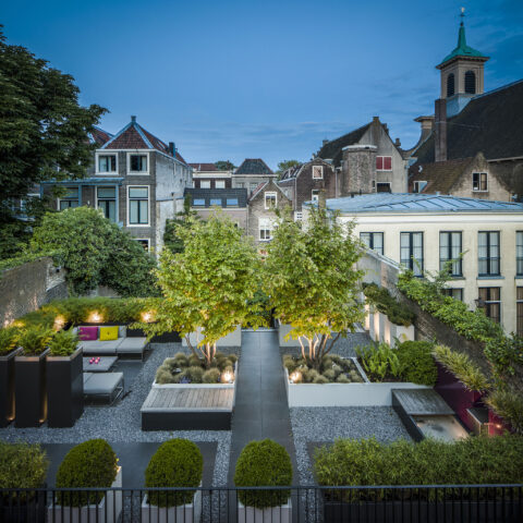 Groene daktuin Dordrecht