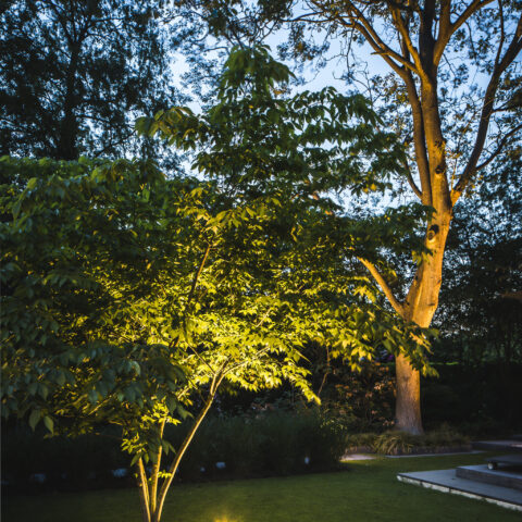 Designtuin met zwembad en poolhouse