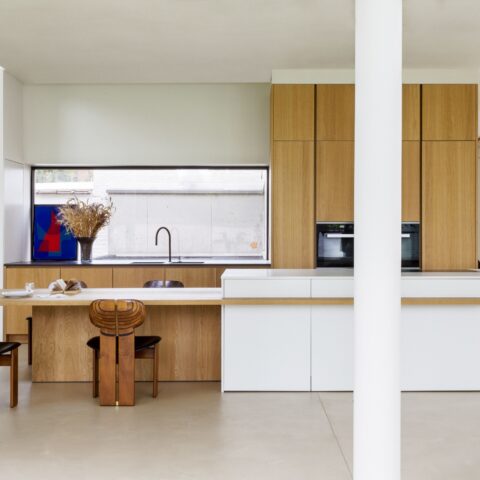 Modernist house
