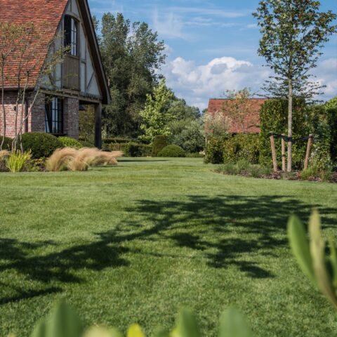 Rural living near the Scheldt River