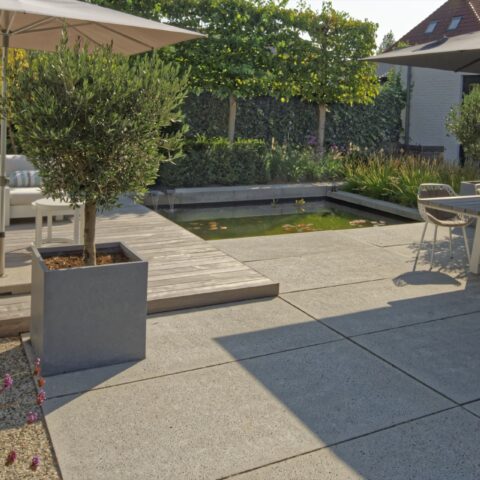 Moderne tuin met vijver