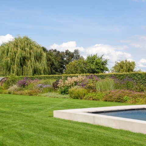 Luxe tuin bij moderne woning
