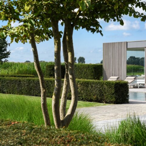 Tuin met luxe zwembad