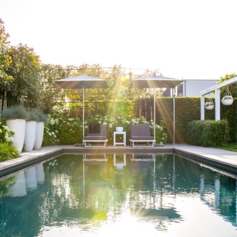 Wellness garden with swimming pool and whirlpool