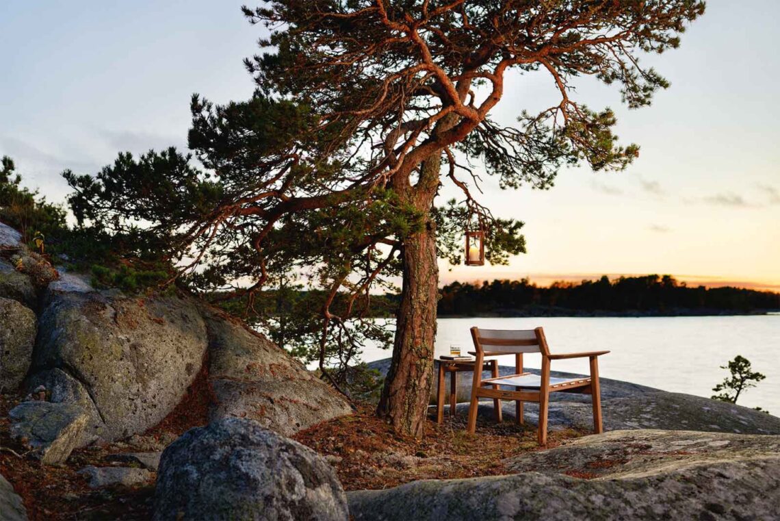 a tree next to a body of water