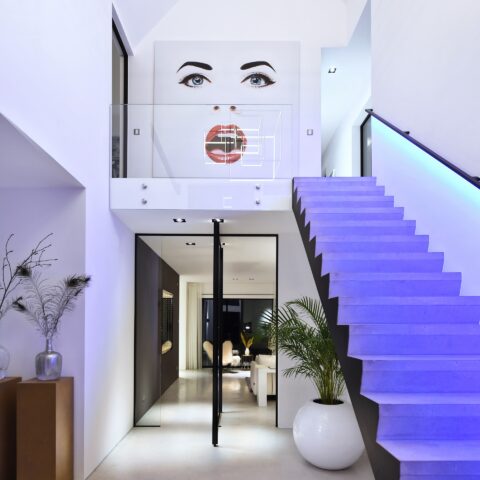 Pivot doors as visual masterpieces