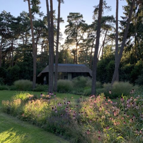 Landscape villa