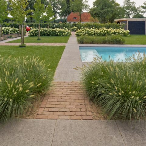 Landelijke tuin in Mill