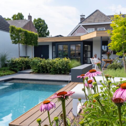Modern garden with swimming pool pool house and sauna
