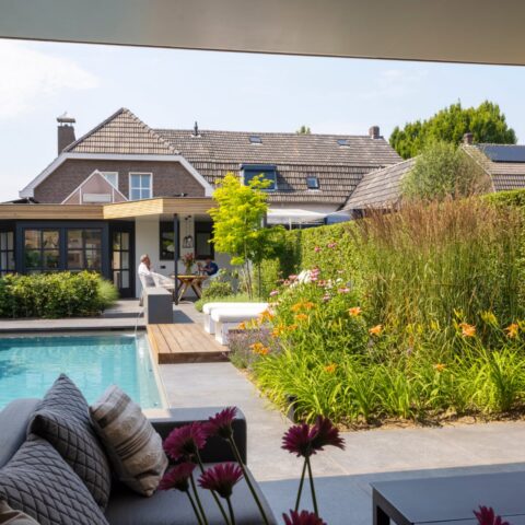 Modern garden with swimming pool pool house and sauna