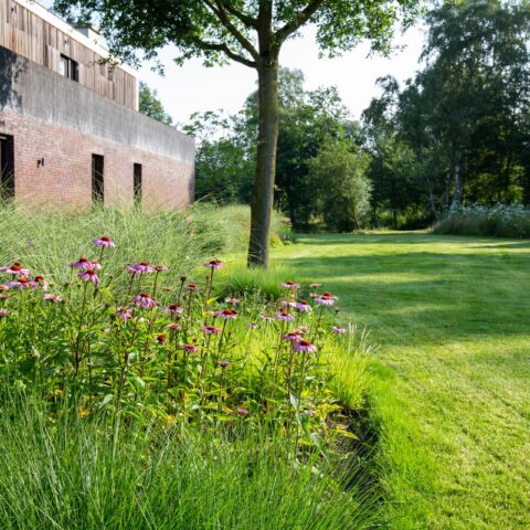 Landgoed Sint-Oedenrode