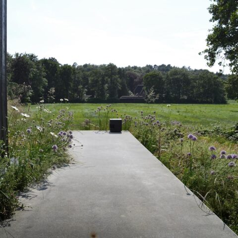 Anticipating the landscape  |  Schoorl
