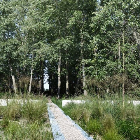 Anticipating the landscape  |  Schoorl