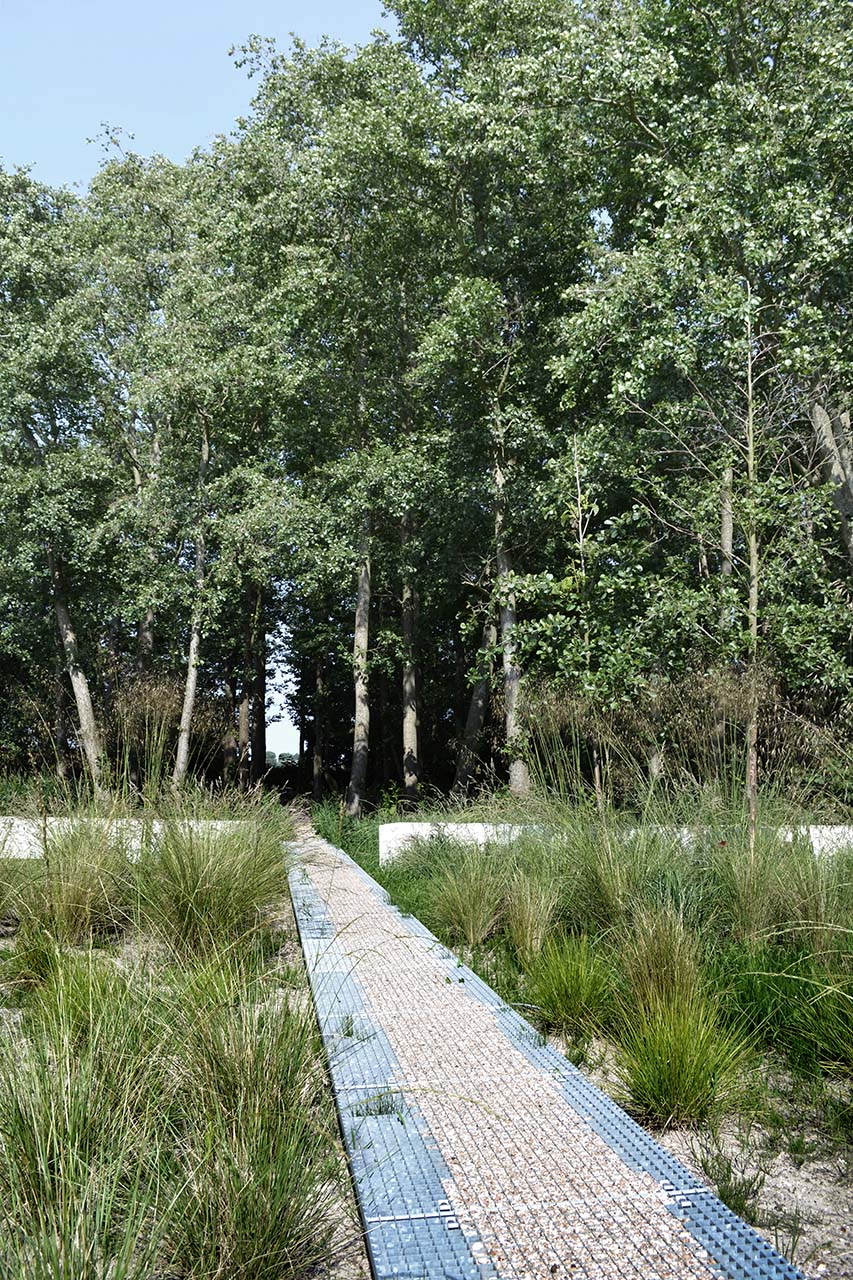 Luxury furniture in a spacious garden, green garden,Grove,Vegetation,Woodland,Land,Tree,Outdoors,Path,Grass,Boardwalk,Scenery, Luxury, Design, Exclusive, Modern, Custom Made, Special, Beautiful