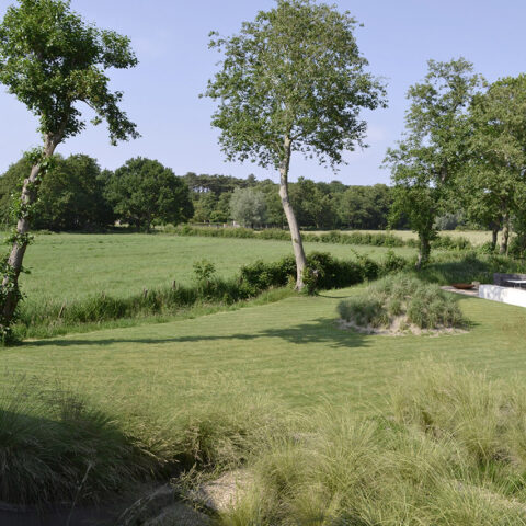 Anticipating the landscape  |  Schoorl