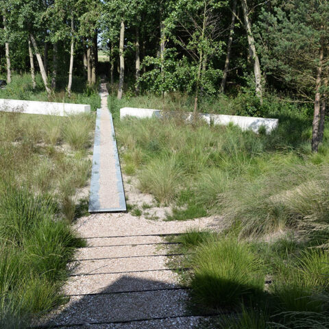 Anticipating the landscape  |  Schoorl