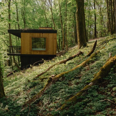 Tiny House Cerfontaine