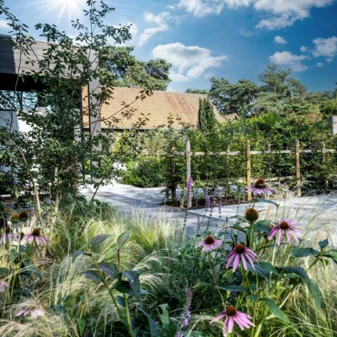 Buitengewone tuin
