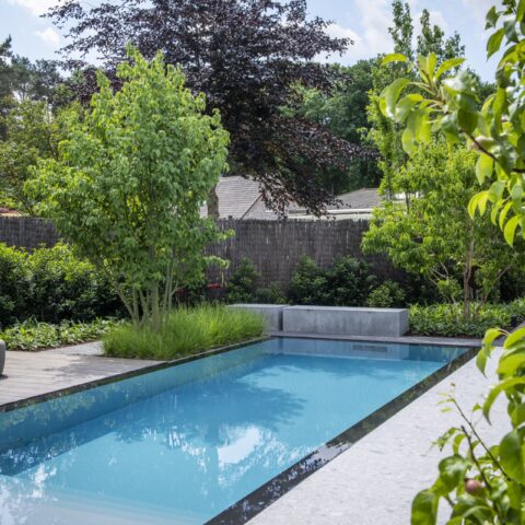 Display garden with luxury infinity pool and oak outbuilding