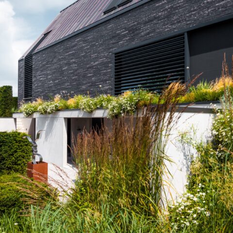 Dike Garden