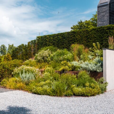 Dike Garden