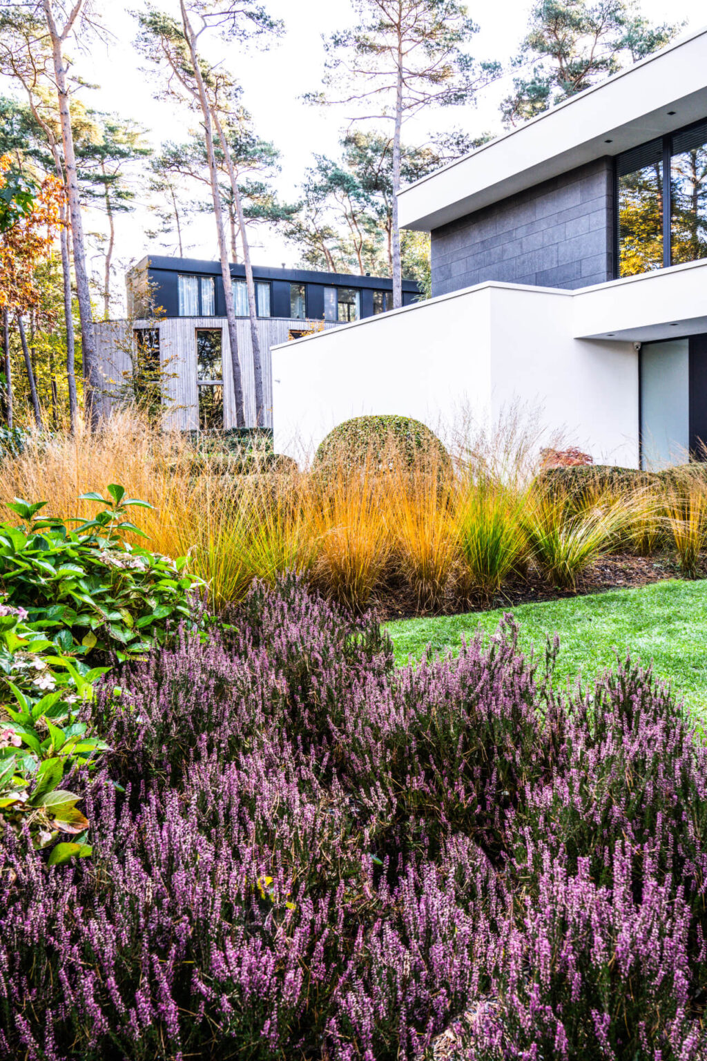 Fairytale woodland garden in Bonheiden