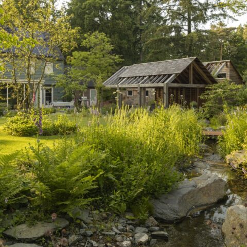 Woodland Garden with Stream