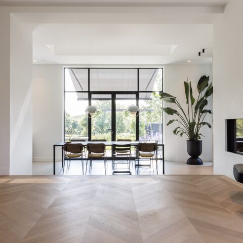 Dijkwoning aan de Rotte