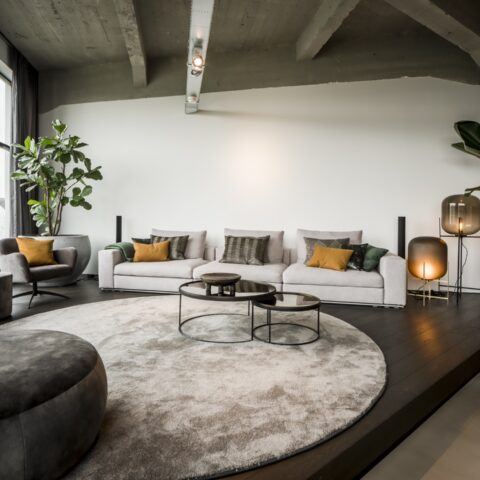 High-end woning met een smaakvol interieur