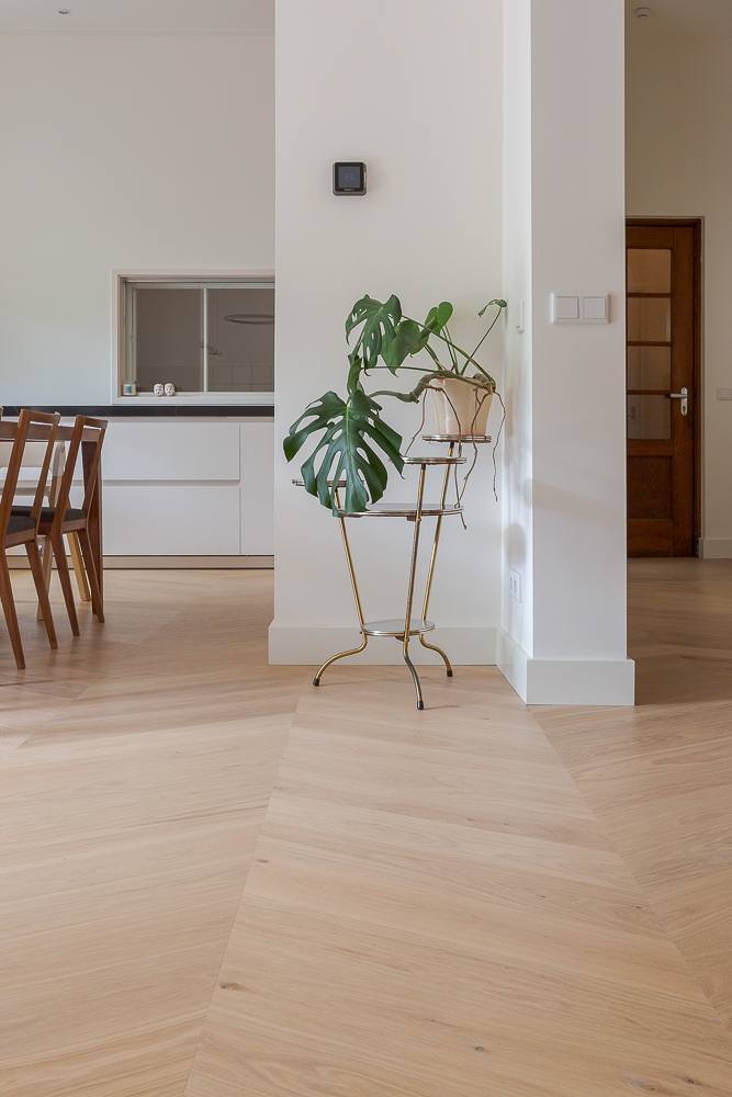 Floor,Flooring,Indoors,Interior Design,Wood,Hardwood,Plant,Potted Plant,Furniture,Chair, Luxury, Design, Exclusive, Modern, Custom Made, Special, Beautiful