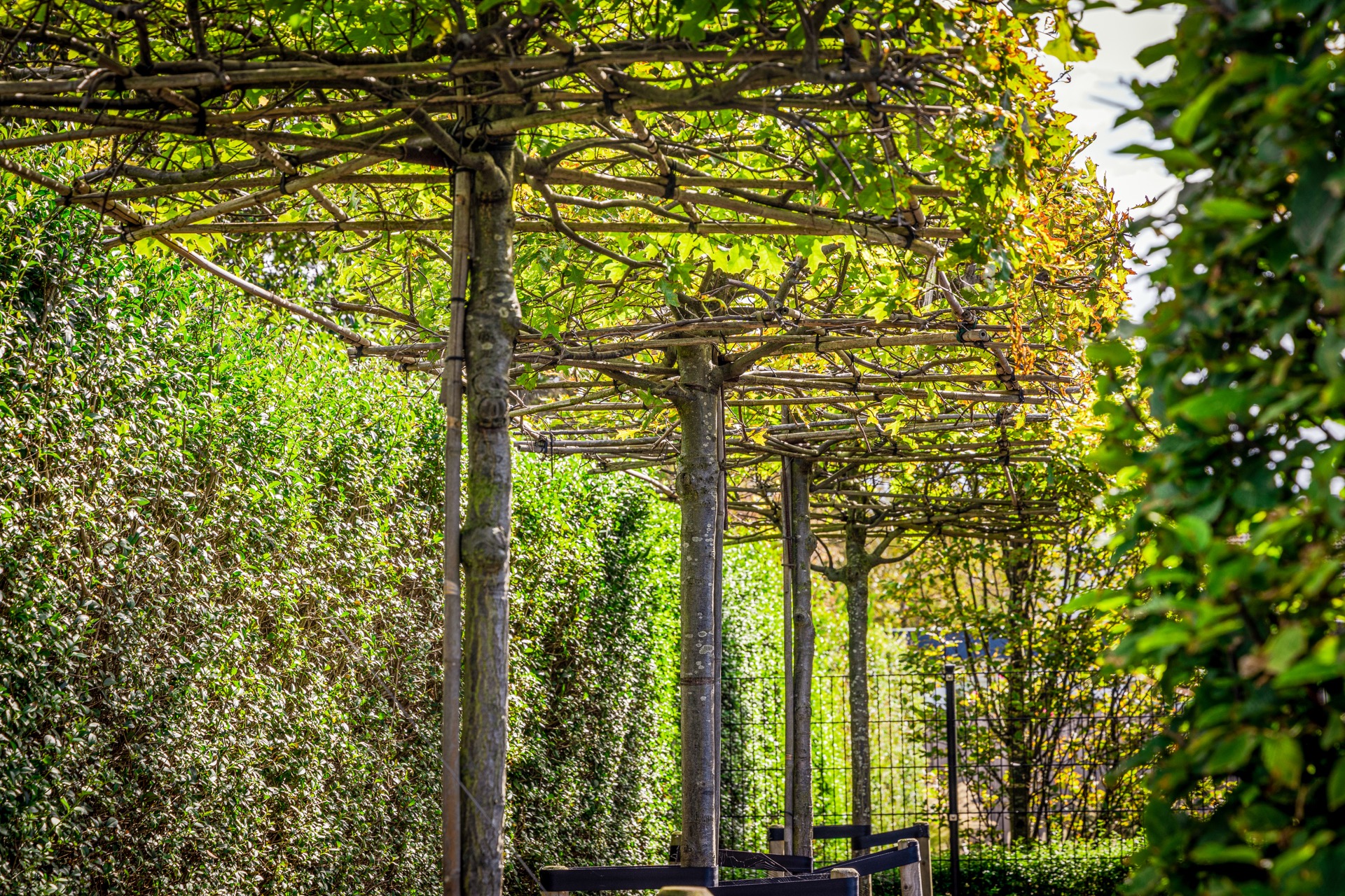 House,Housing,Porch,Patio,Garden,Nature,Outdoors,Pergola,Arbour,Vine, Luxury, Design, Exclusive, Modern, Custom Made, Special, Beautiful