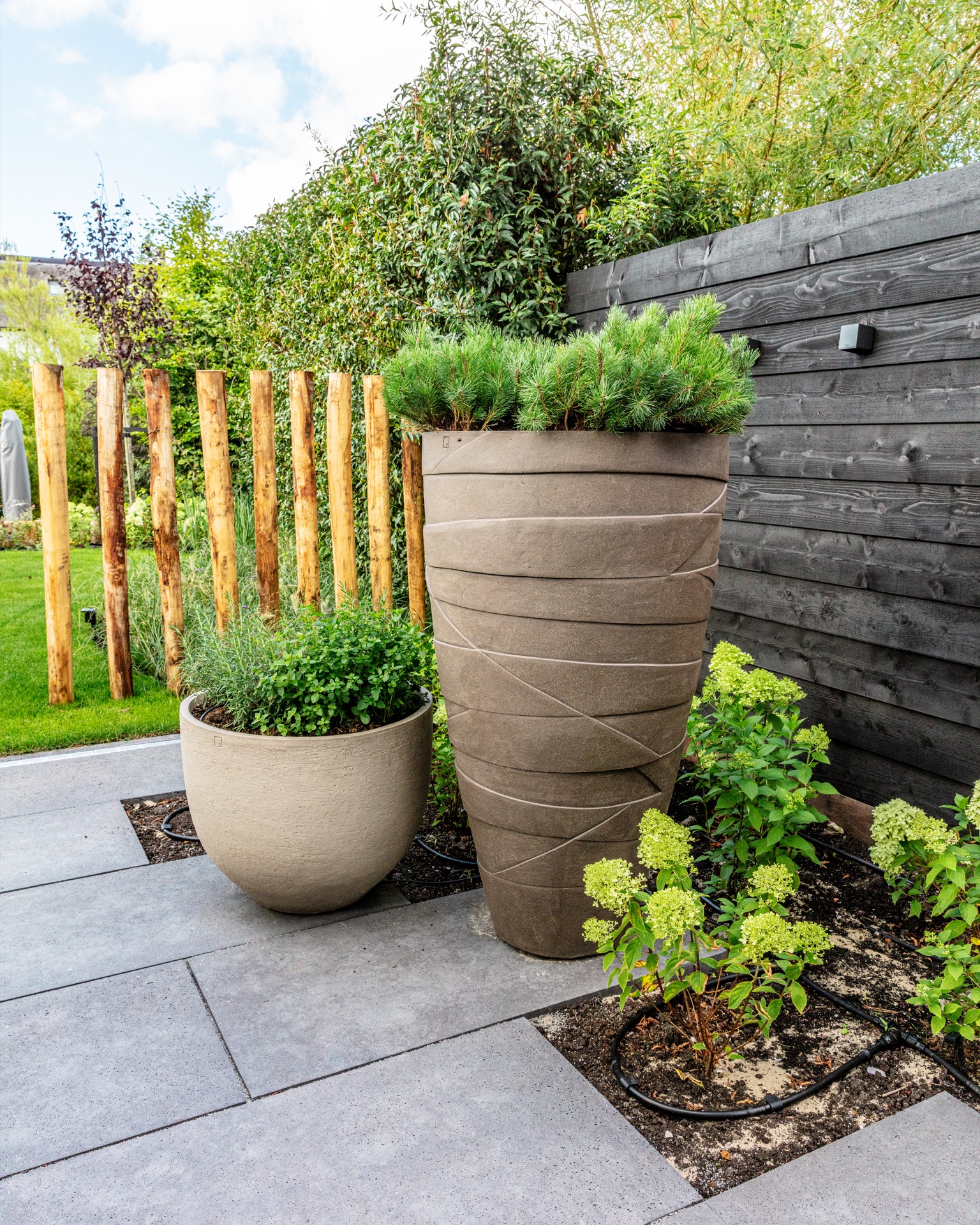 Plant,Potted Plant,Jar,Planter,Pottery,Vase,Backyard,Nature,Interior Design,Garden, Luxury, Design, Exclusive, Modern, Custom Made, Special, Beautiful