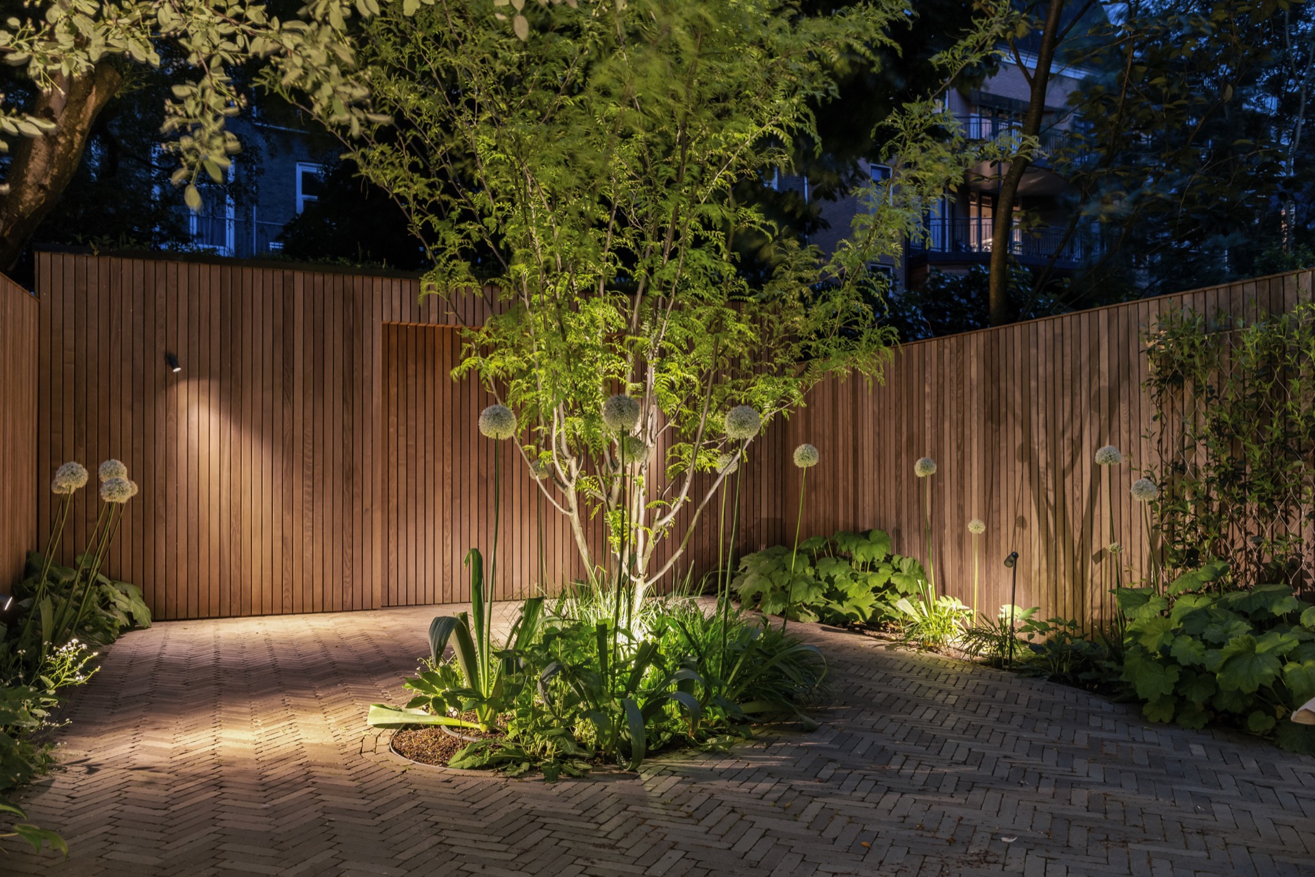Achtertuin, natuur, buitenleven, erf, interieurontwerp, potplant, tuin, vegetatie, bamboe, boom, Luxe, Design, Exclusief, Modern, Maatwerk, Bijzondere, Mooie