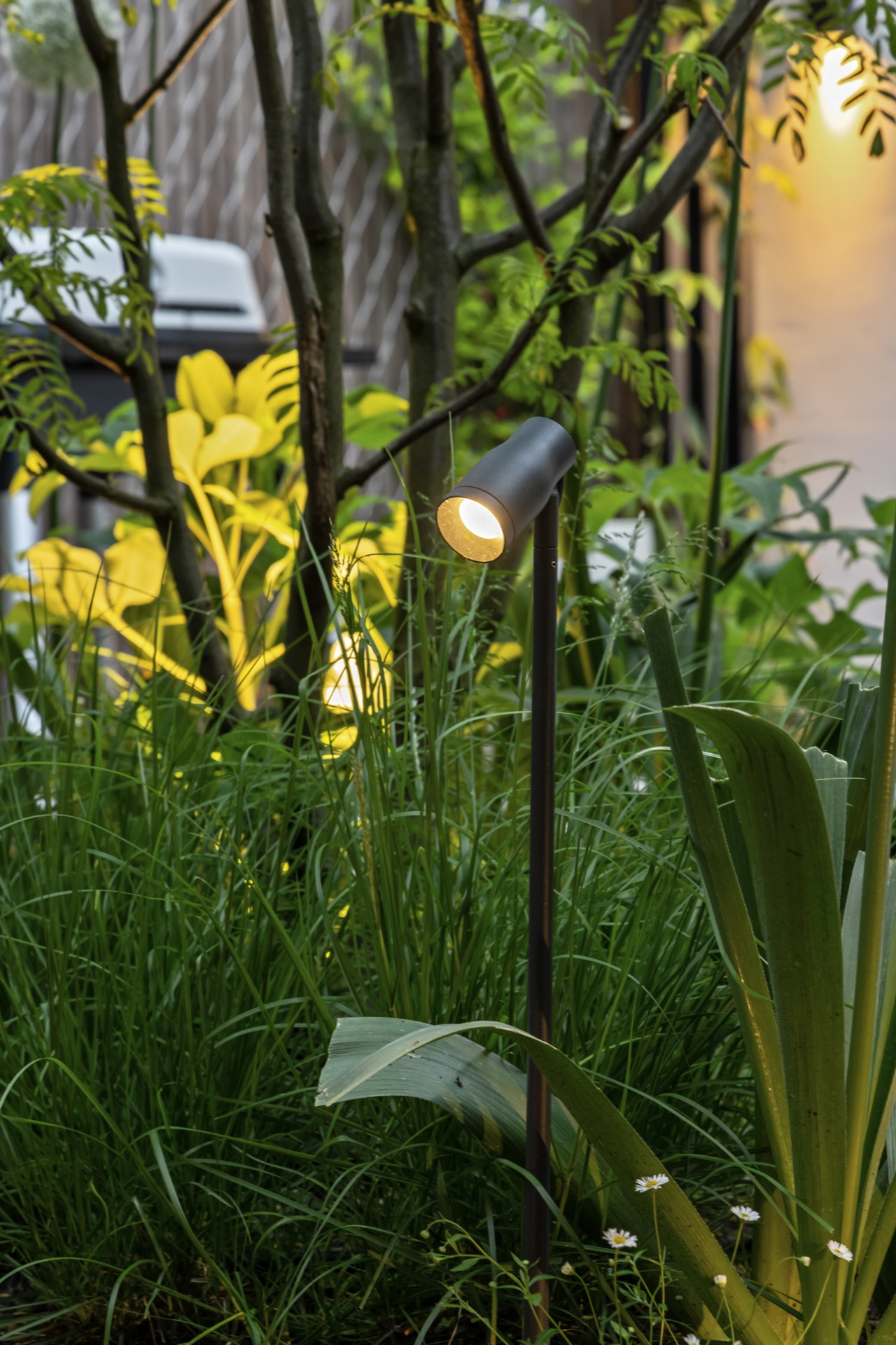 Lamp, verlichting, vloerlamp, lantaarnpaal, schijnwerper, tuin, potplant, licht, zaklamp, achtertuin, Luxe, Design, Exclusief, Modern, Maatwerk, Bijzondere, Mooie