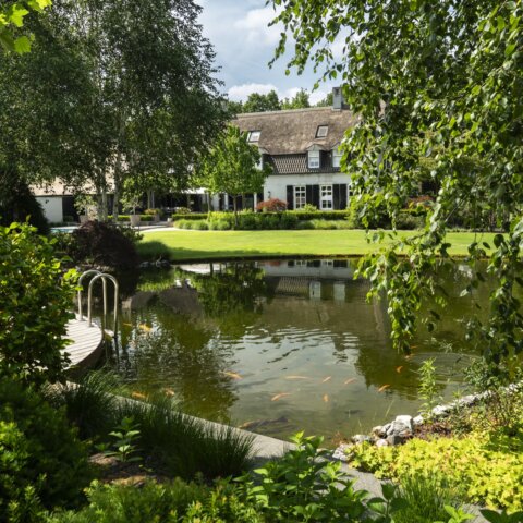 Zwemvijver in groene oase