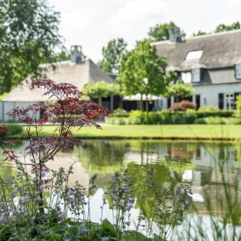 Zwemvijver in groene oase
