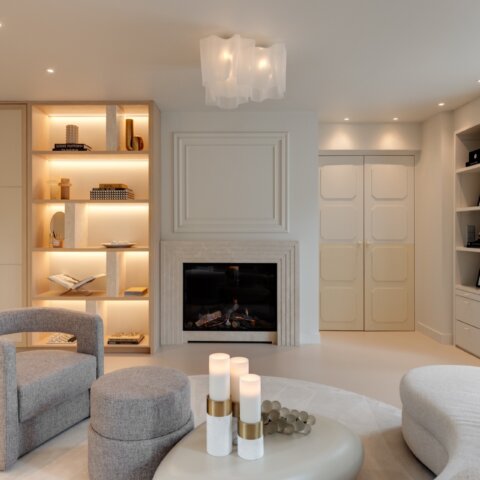 Project Laren
