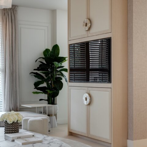Project Laren