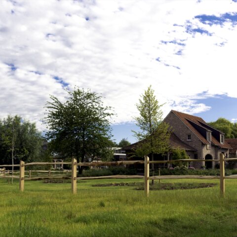 Omheining Post & Rail modern in Robinia