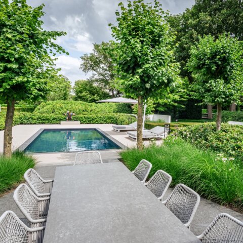 Moderne tuin met zwembad