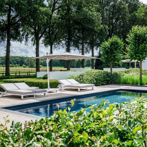 Moderne tuin met zwembad