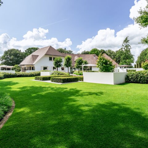 Moderne tuin met zwembad