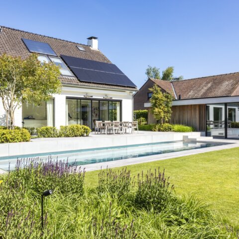 Luxe zwembad in de Pinte