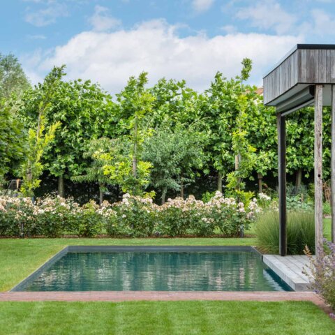 Levendige tuin met poolhouse