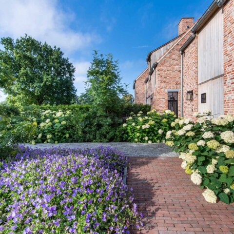 Fleurige tuin