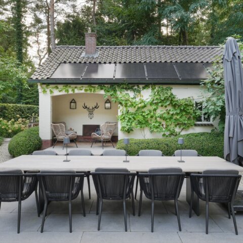 Groene tuin met zwembad